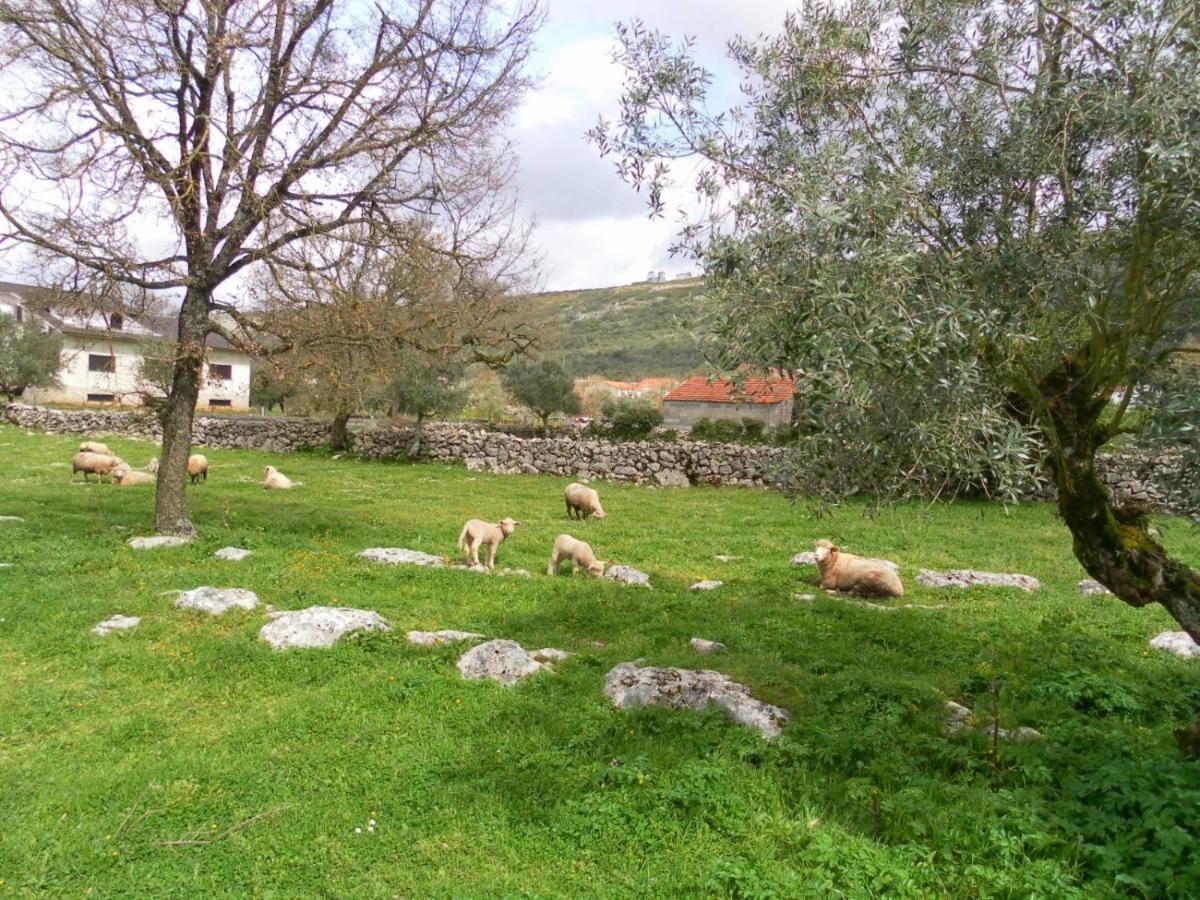 Retiro Da Avo Lidia - Turismo Rural Mendiga Экстерьер фото